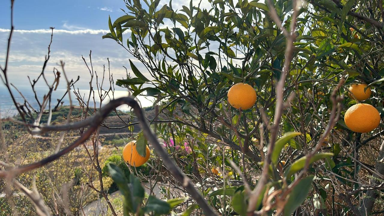 El Paraiso De Salobreña Buitenkant foto